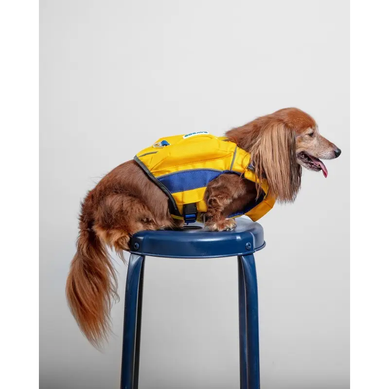 Monterey Bay Dog Life Jacket in Nautical Yellow