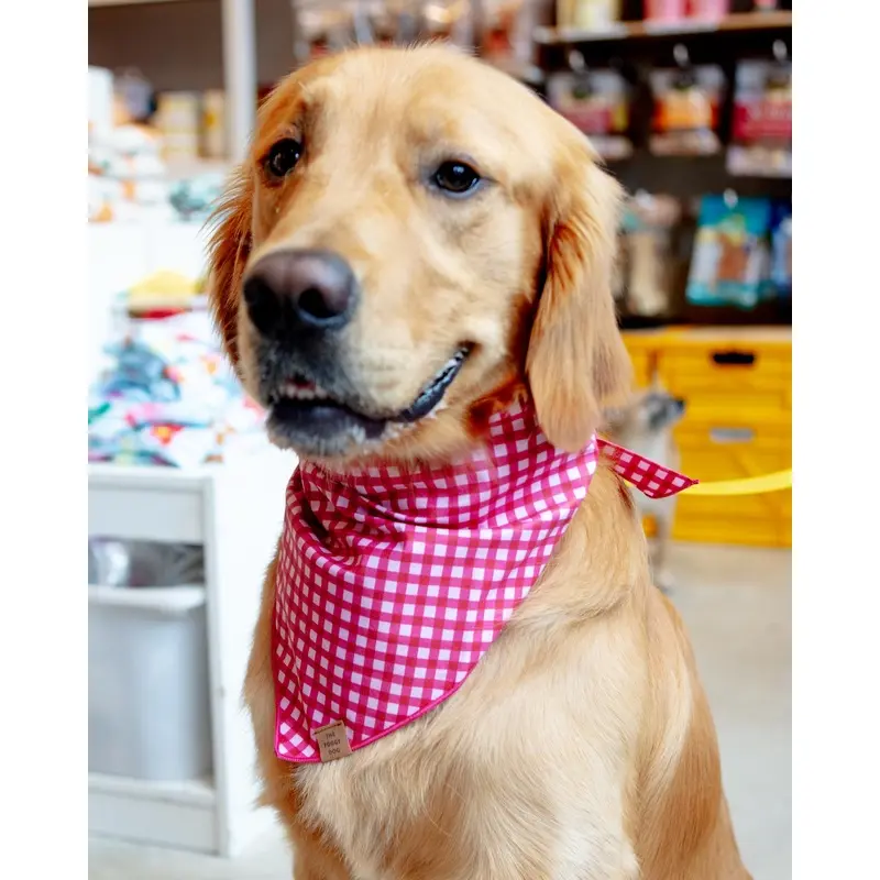 Raspberry Gingham Dog Bandana (Made in the USA) (FINAL SALE)