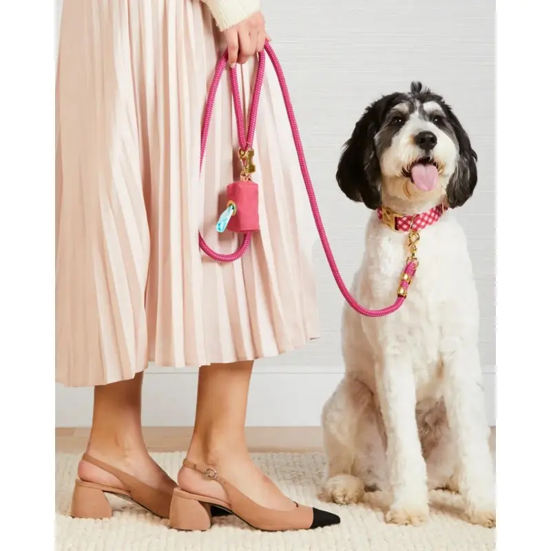 Raspberry Gingham Spring Dog Collar (Made in the USA)
