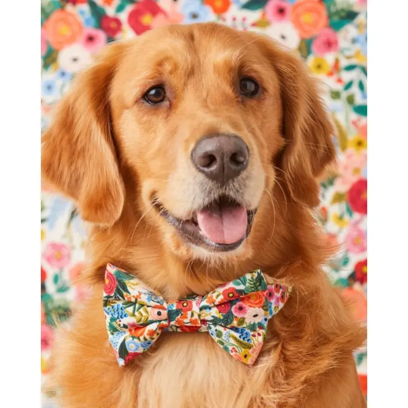Rifle Paper Co. x TFD Garden Party Dog Bow Tie (Made in the USA) (FINAL SALE)