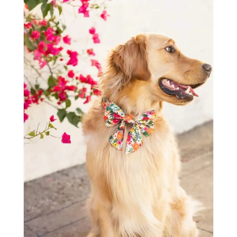Rifle Paper Co. x TFD Garden Party Spring Lady Dog Bow (Made in the USA)