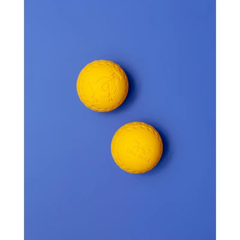 Rubber Floating Dog Ball Toy