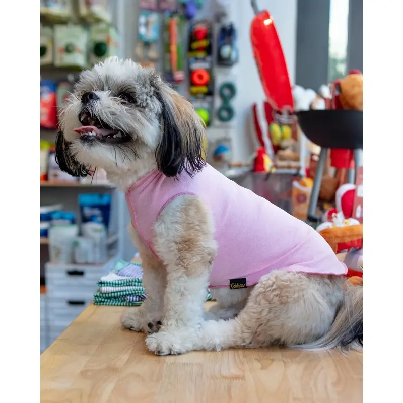 Sun Shield Tee in Pink Lemonade (Made in the USA) (FINAL SALE)