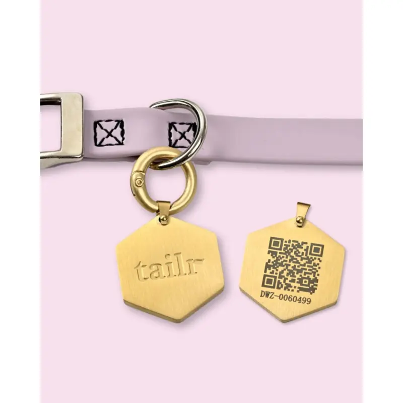 Tailr QR ID Tag for Pets (Classic Hanging Tag) (FINAL SALE)