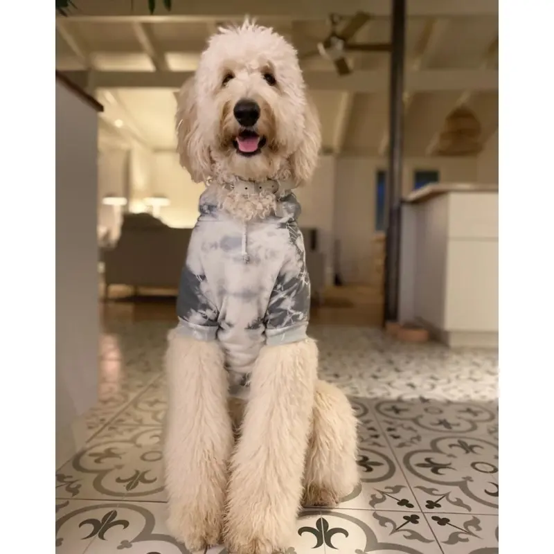 Tie Dye Dog Hoodie in Grey & White (FINAL SALE)