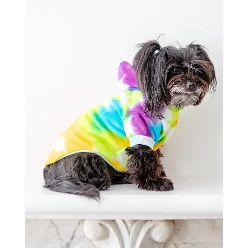 Tie Dye Dog Hoodie in Rainbow