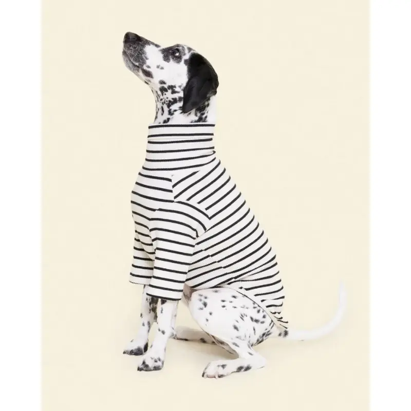 World's Your Oyster Dog Pullover Shirt