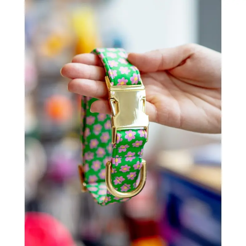 Flower Power Dog Collar (Made in the USA)