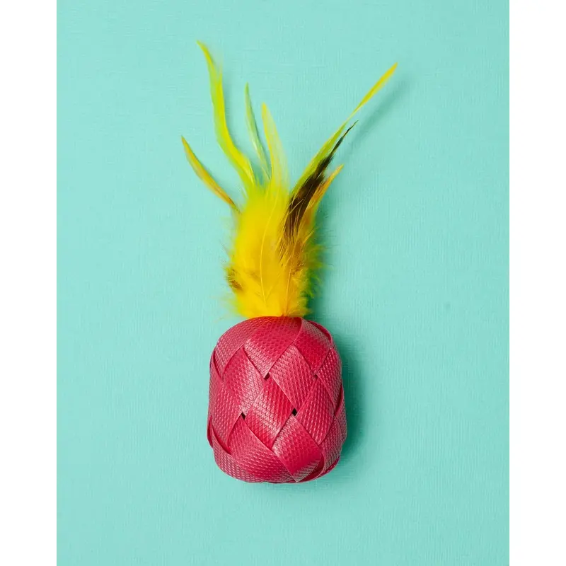 Pia Catlada Catnip Toy