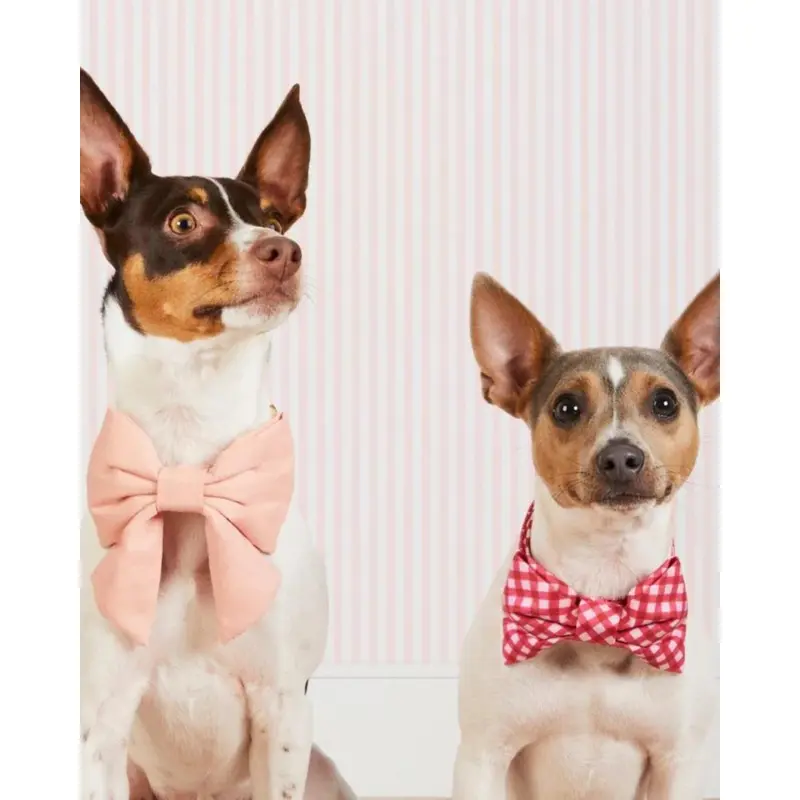 Raspberry Gingham Dog Bow Tie (Made in the USA) (FINAL SALE)