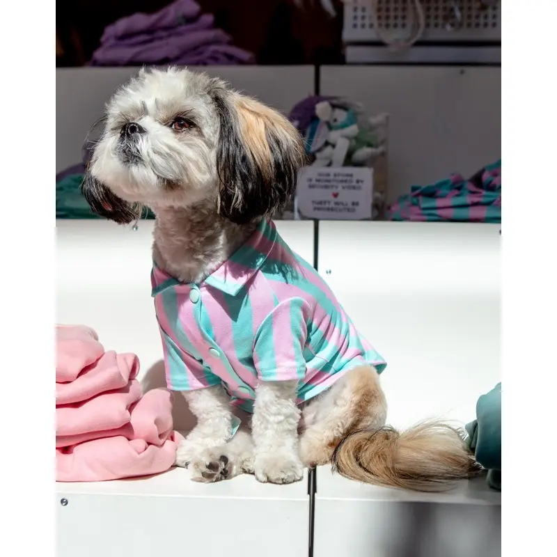 Stripey Poolside Button-Down Dog Shirt (Made in the USA) (FINAL SALE)