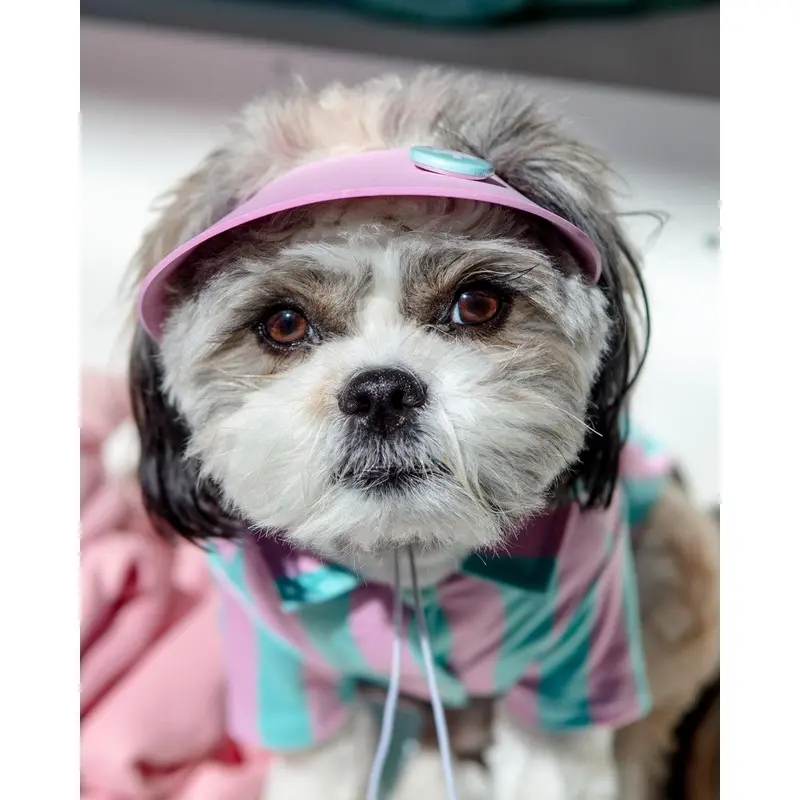 Visor Pet Hat in Pink (Made in the USA)