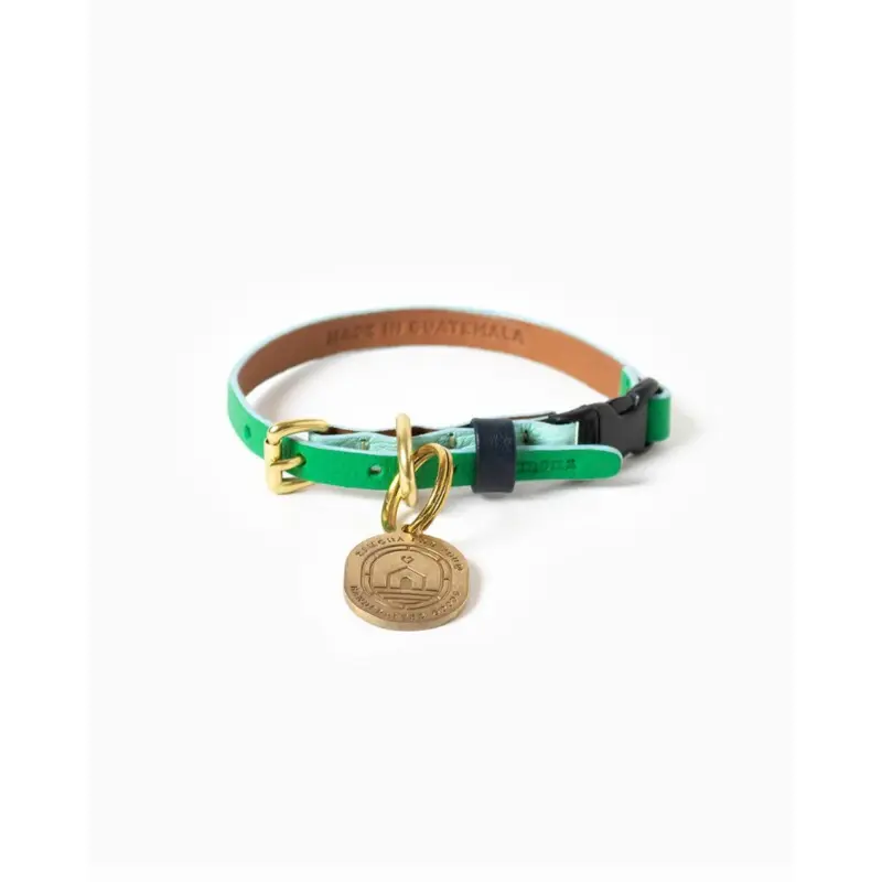 Brave Leather Cat Collar (Made in Guatemala)