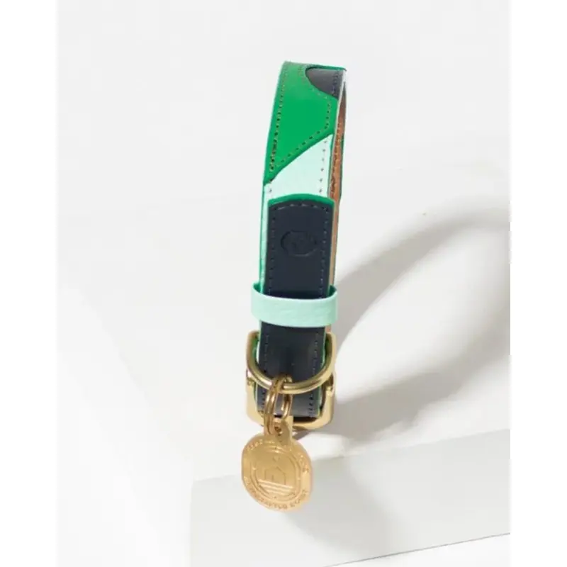 Brave Leather Dog Collar (Made in Guatemala)
