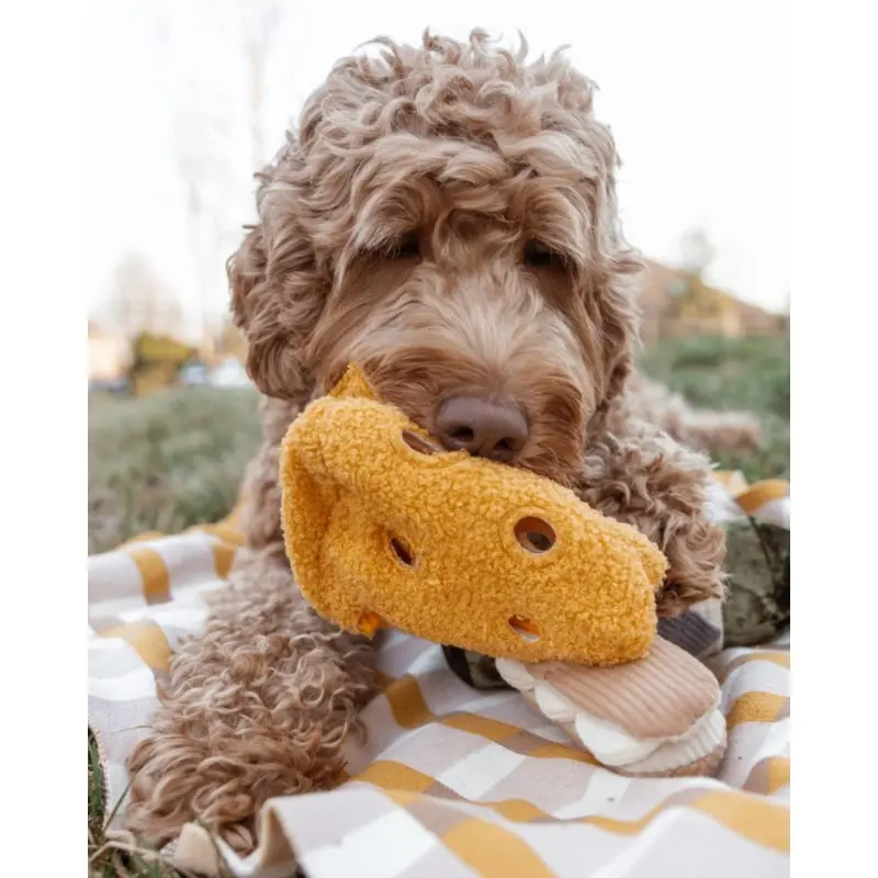 Fromage Enrichment Dog Toy