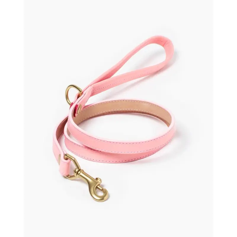 Sweet Leather Dog Leash (Made in Guatemala)