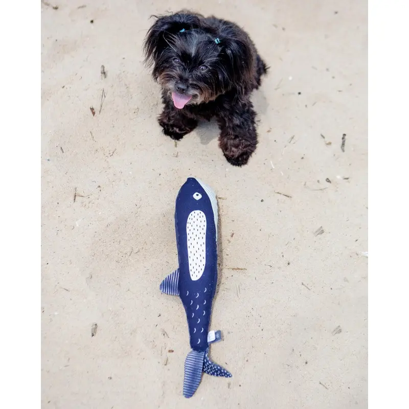 There She Blows Canvas Whale Dog Toy