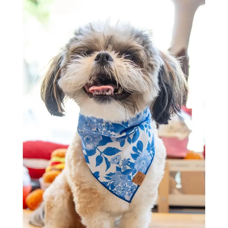 Blue Roses Spring Dog Bandana (Made in the USA) (FINAL SALE)