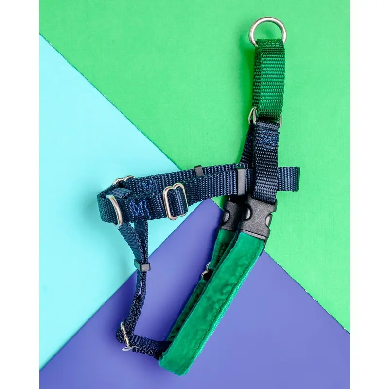 Freedom No-Pull Harness in Navy & Kelly Green (Made in the USA)