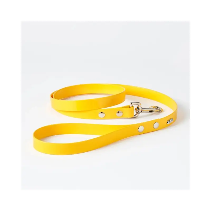 Hydro Dog Leash in Yellow (Made in Canada) (FINAL SALE)