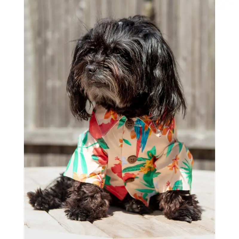 Island Time BBQ Dog Shirt (FINAL SALE)