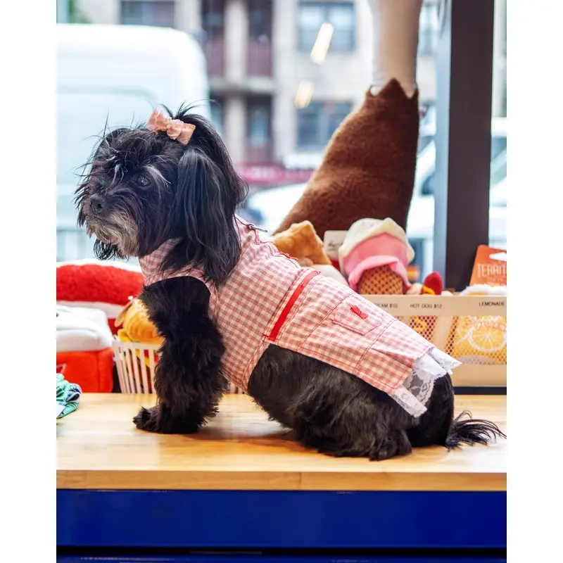 Red Check Picnic Dress for Dogs (FINAL SALE)