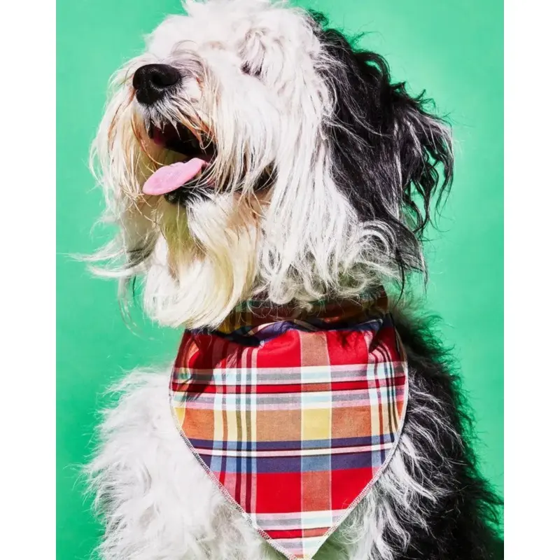 Reversible Plaid Dog Bandana (Made in the USA) (FINAL SALE)