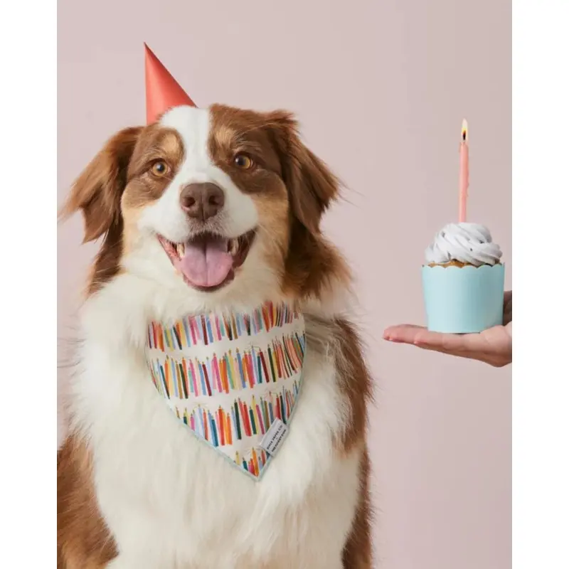Rifle Paper Co. X TFD Birthday Candles Dog Bandana