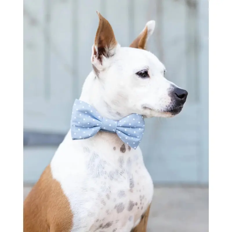 Chambray Dots Dog Bow Tie (Made in the USA) (FINAL SALE)