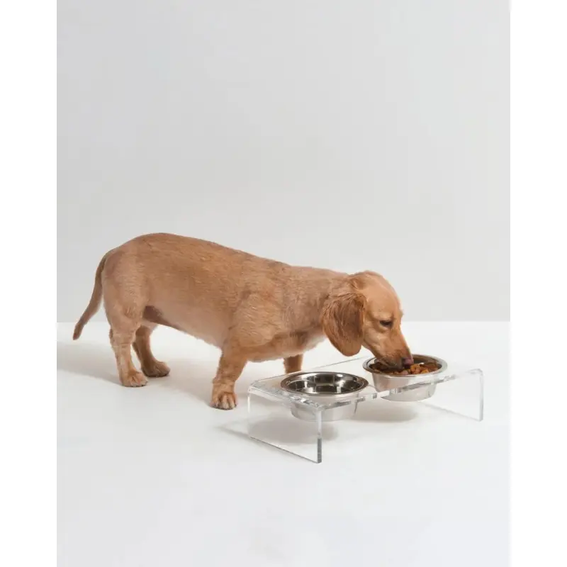 Clear Lucite Double Bowl Pet Feeder (Made in the USA) (Direct-Ship)