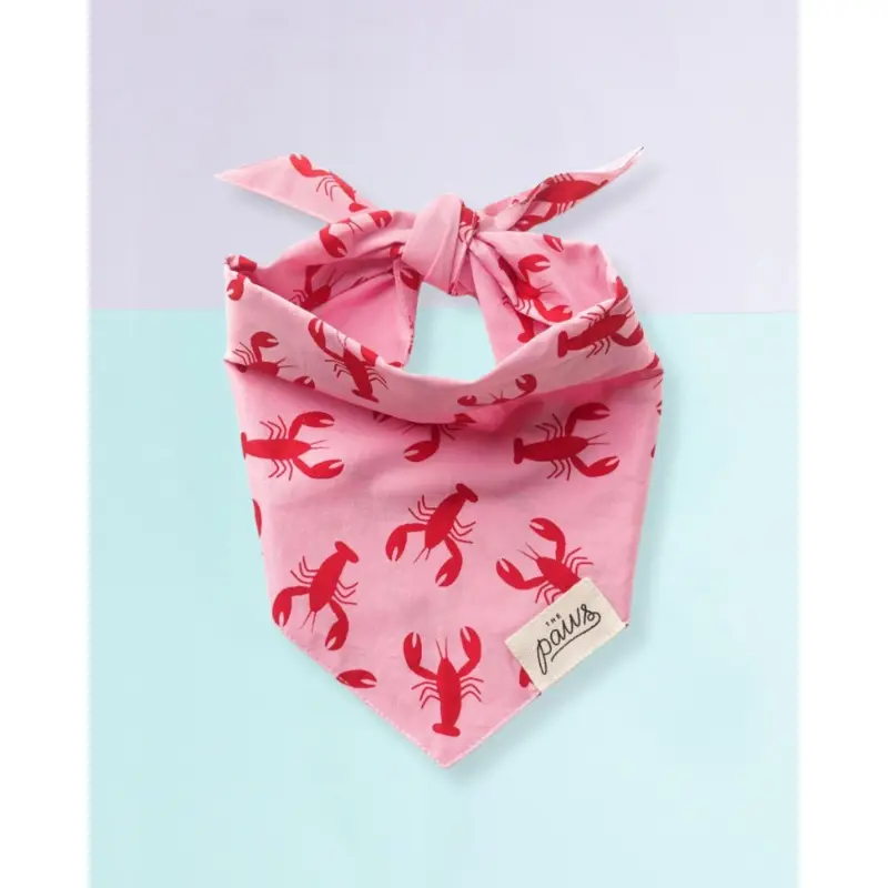 Frye Island Lobster Dog Bandana (FINAL SALE)