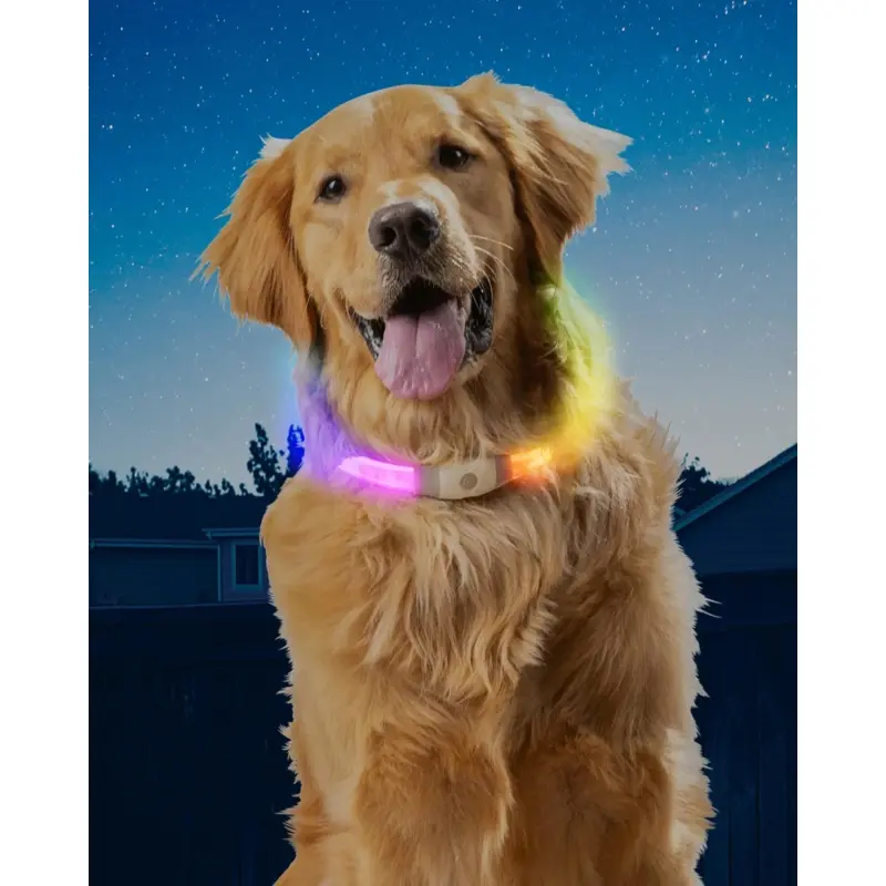 NITEHOWL MAX Rechargeable Led Safety Dog Necklace