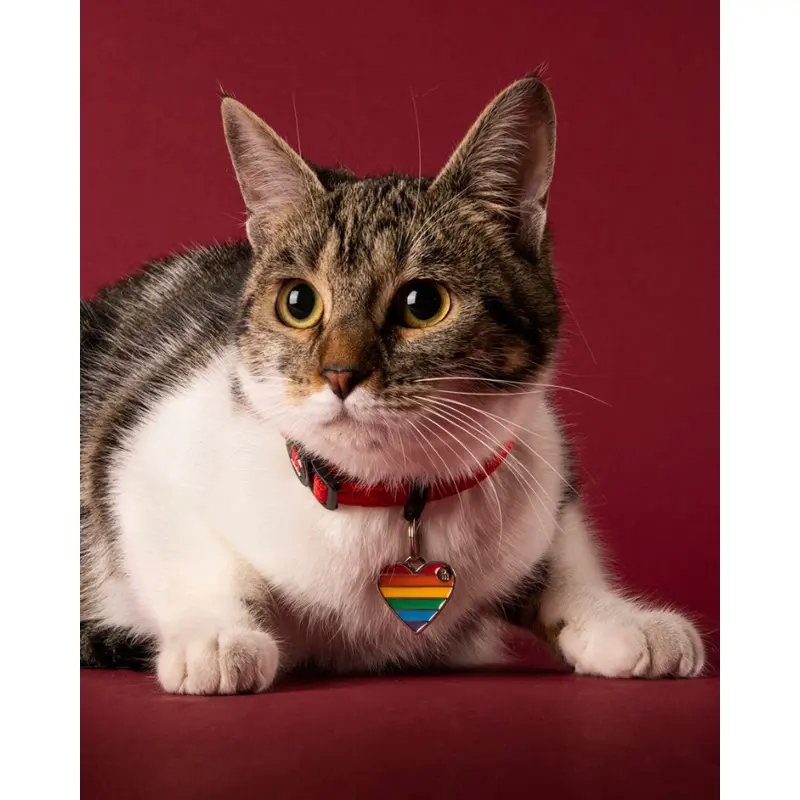 Rainbow Heart Custom Pet ID Tag