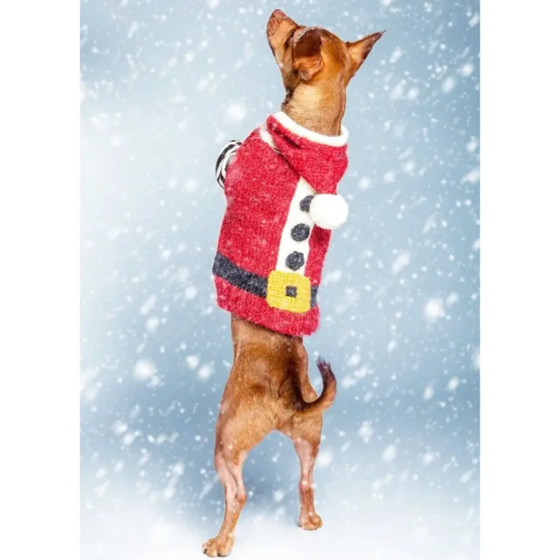 Santa Paws Hand Knit Dog Sweater (FINAL SALE)