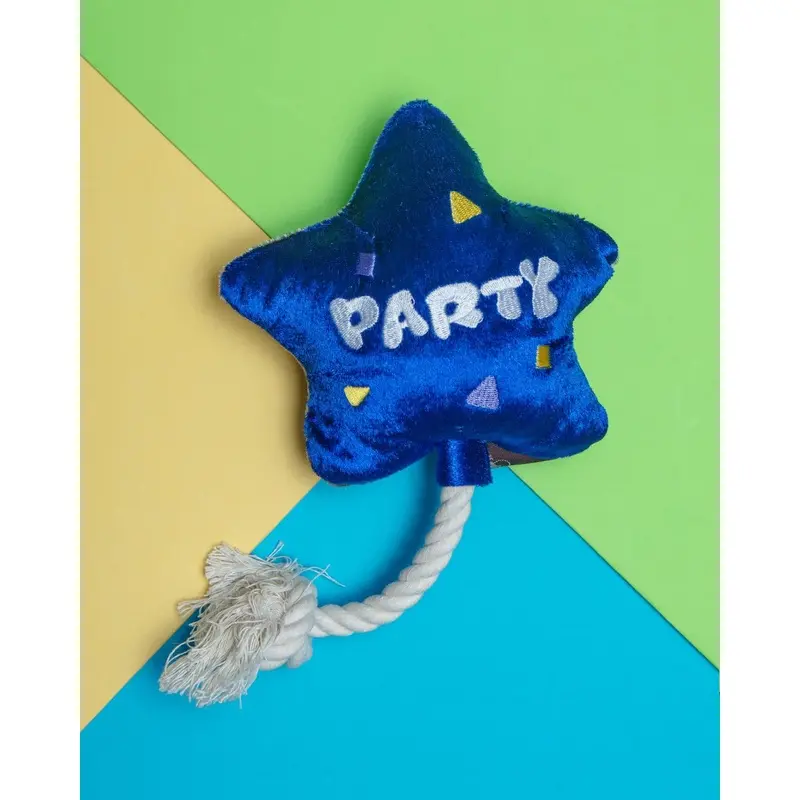 Best Day Ever Balloon Squeaker Dog Toy
