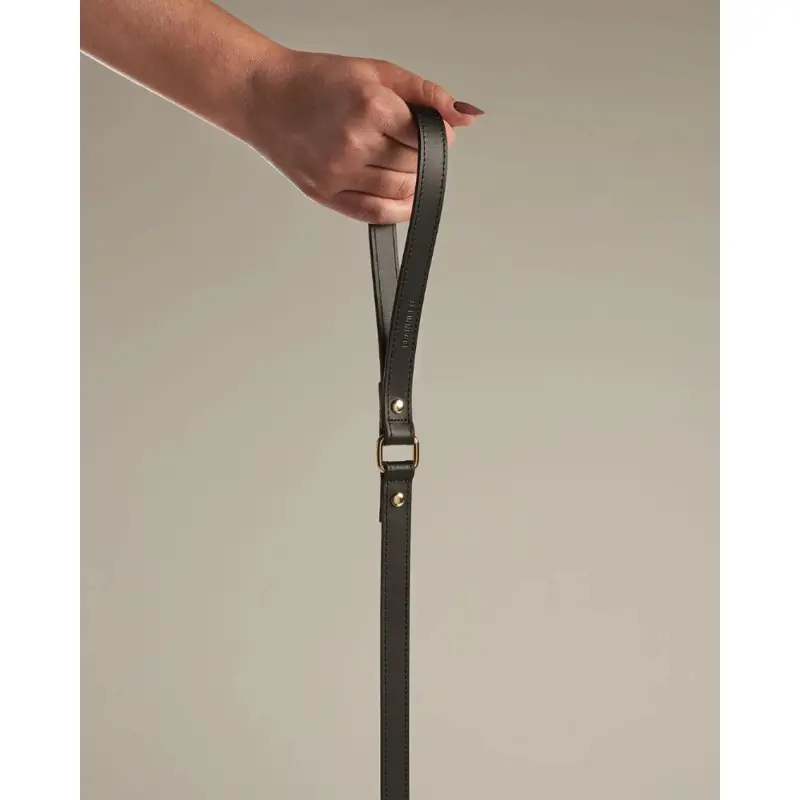 Black Nara Leather Dog Leash with Brass Hardware (Made in Italy)