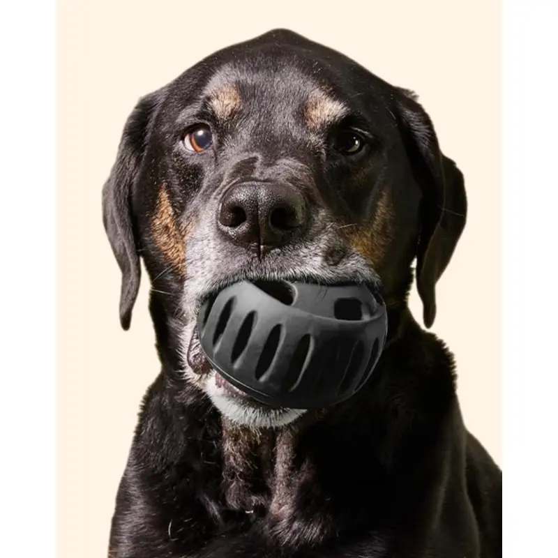 The Power Chewer Pupsicle Enrichment Dog Toy