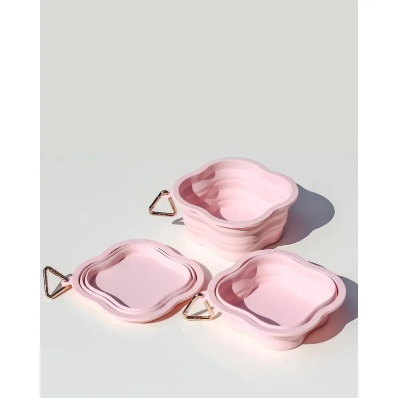 Collapsible Silicone Water Bowl