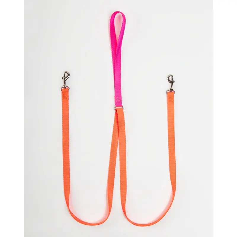 Double Clip Training Leash in Hot Pink + Neon Orange (Made in the USA)