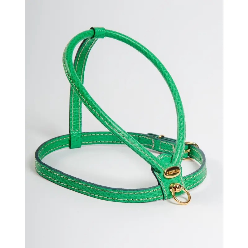 Italian Leather Dog Harness in Green (FINAL SALE)