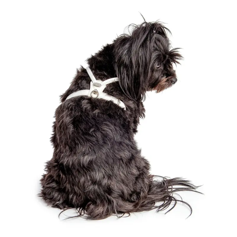 Italian Leather Dog Harness in Ultra White (FINAL SALE)