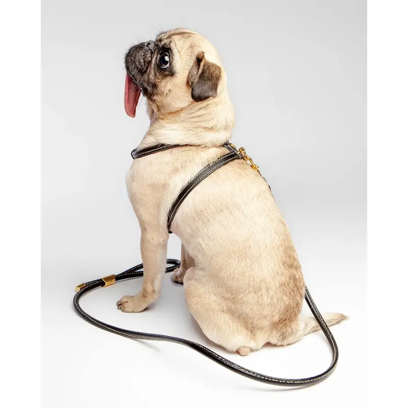 Italian Leather Dog Leash in Classic Black