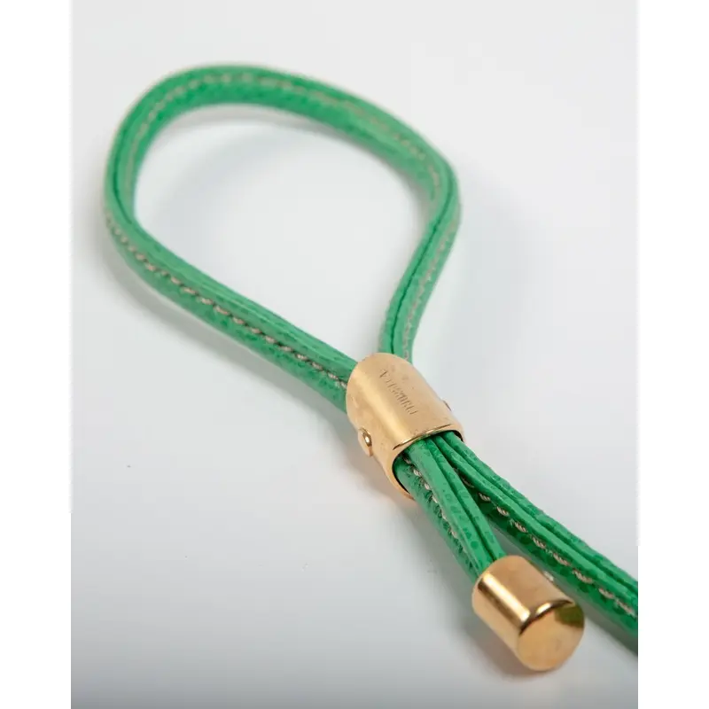 Italian Leather Dog Leash in Green