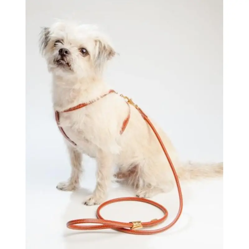 Italian Leather Dog Leash in Luggage Brown