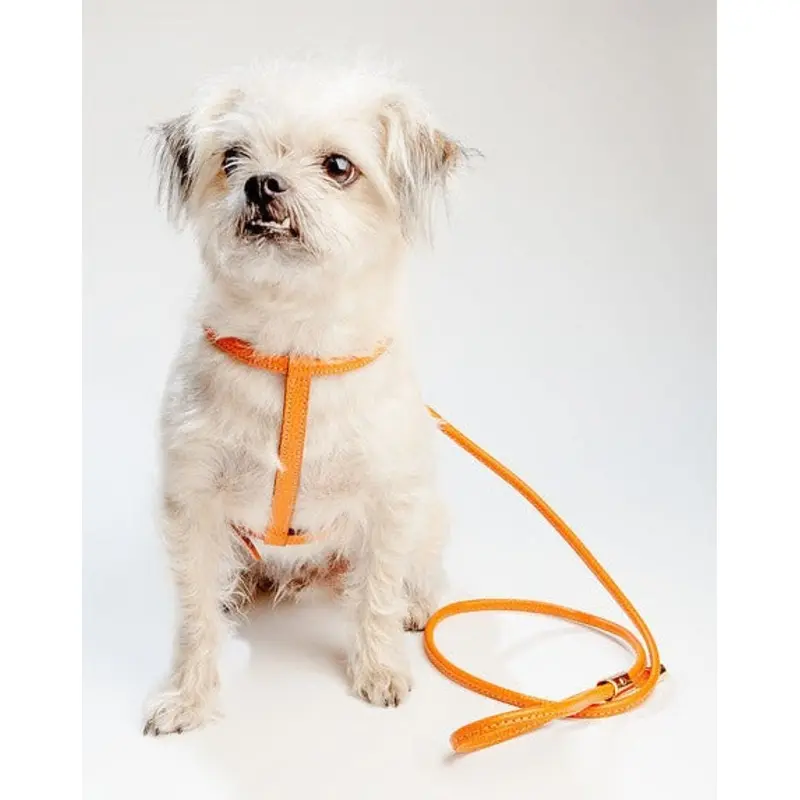 Italian Leather Dog Leash in Orange