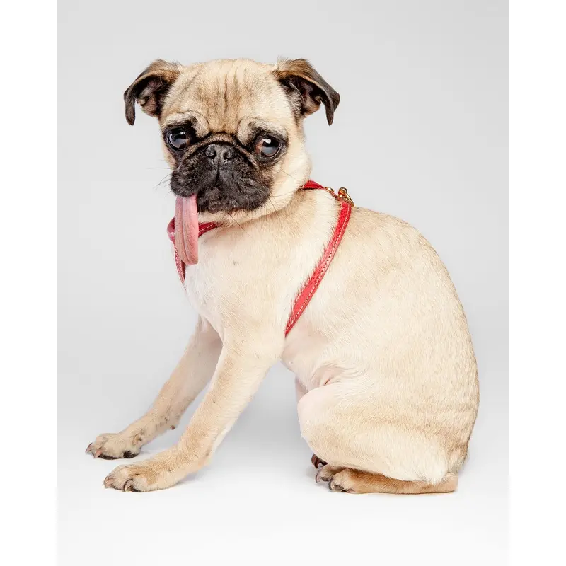 Italian Leather Harness in Red (FINAL SALE)