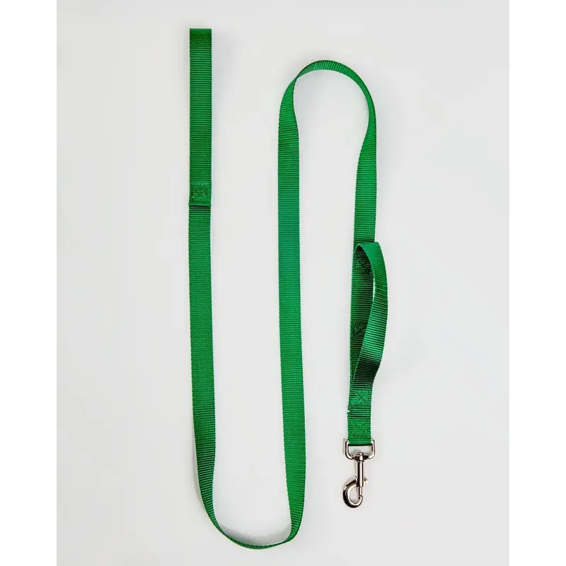 Nylon Dog Leash in Hunter Green (Made in the USA)