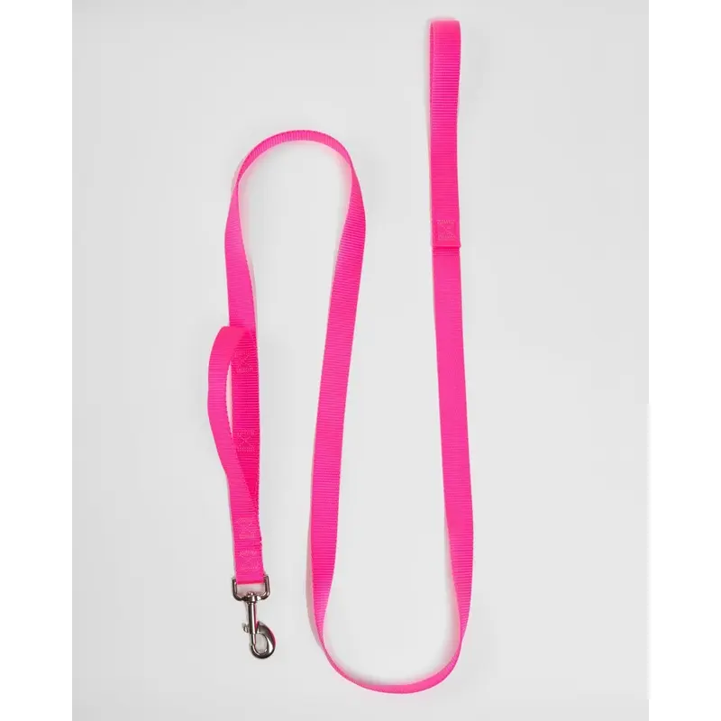 Nylon Dog Leash in Neon Pink (Made in the USA)
