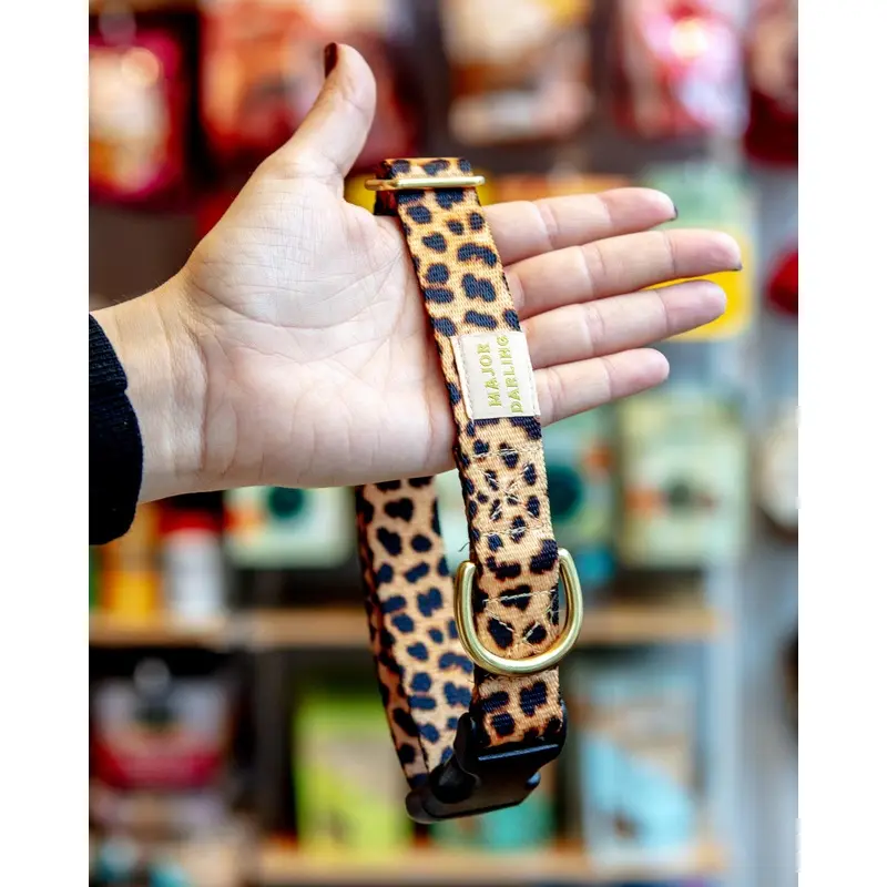 Side-Release Buckle Dog Collar in Leopard