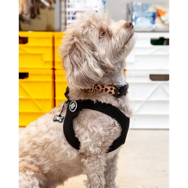 Buddy Belt Sport Harness for Dogs in Black